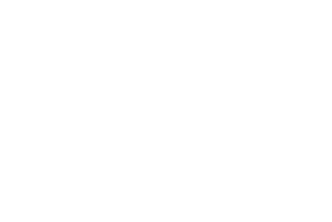 lv logoesto market 13